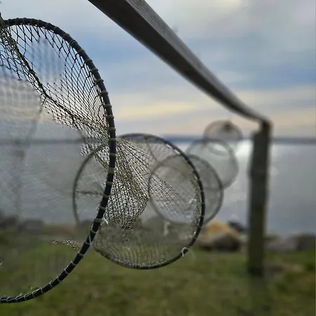 Fischerstern