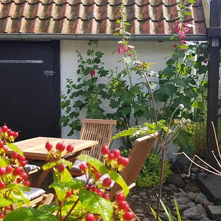 Tatil Evi Fischerstern Maasholm