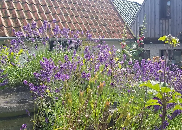 Feriehus Fischerstern Masholm